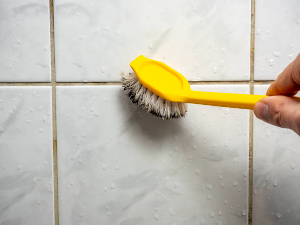 Best Localized Mold Remediation (e.g., coastal areas, humid climates) in Robbinsdale, MN